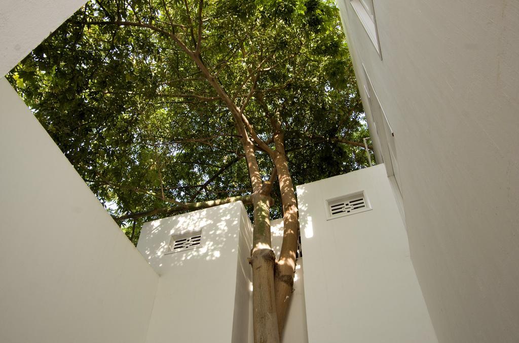 La Casa Del Piano Hotel Boutique By Xarm Hotels Santa Marta  Exterior photo