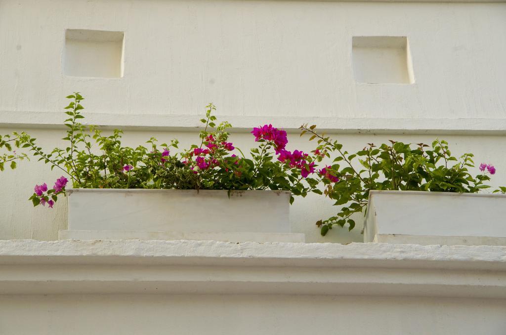 La Casa Del Piano Hotel Boutique By Xarm Hotels Santa Marta  Exterior photo